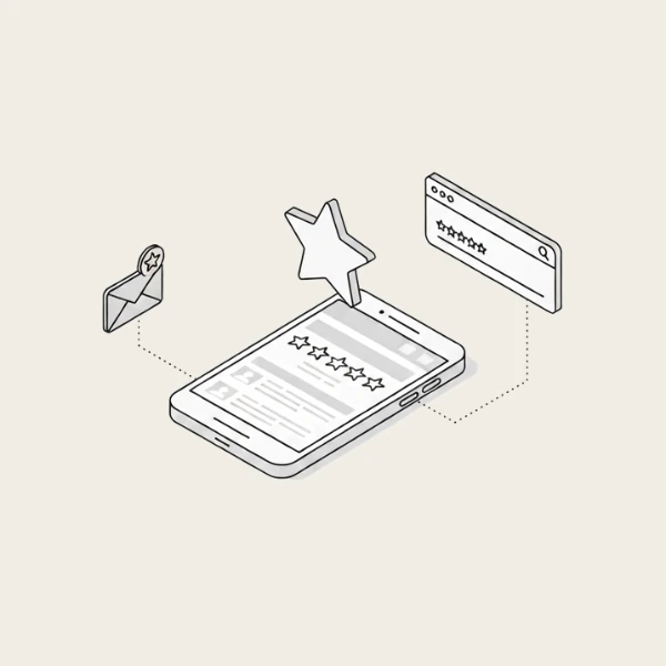 Customer Review Widget preview